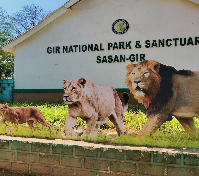 sasn-gir-national-park
